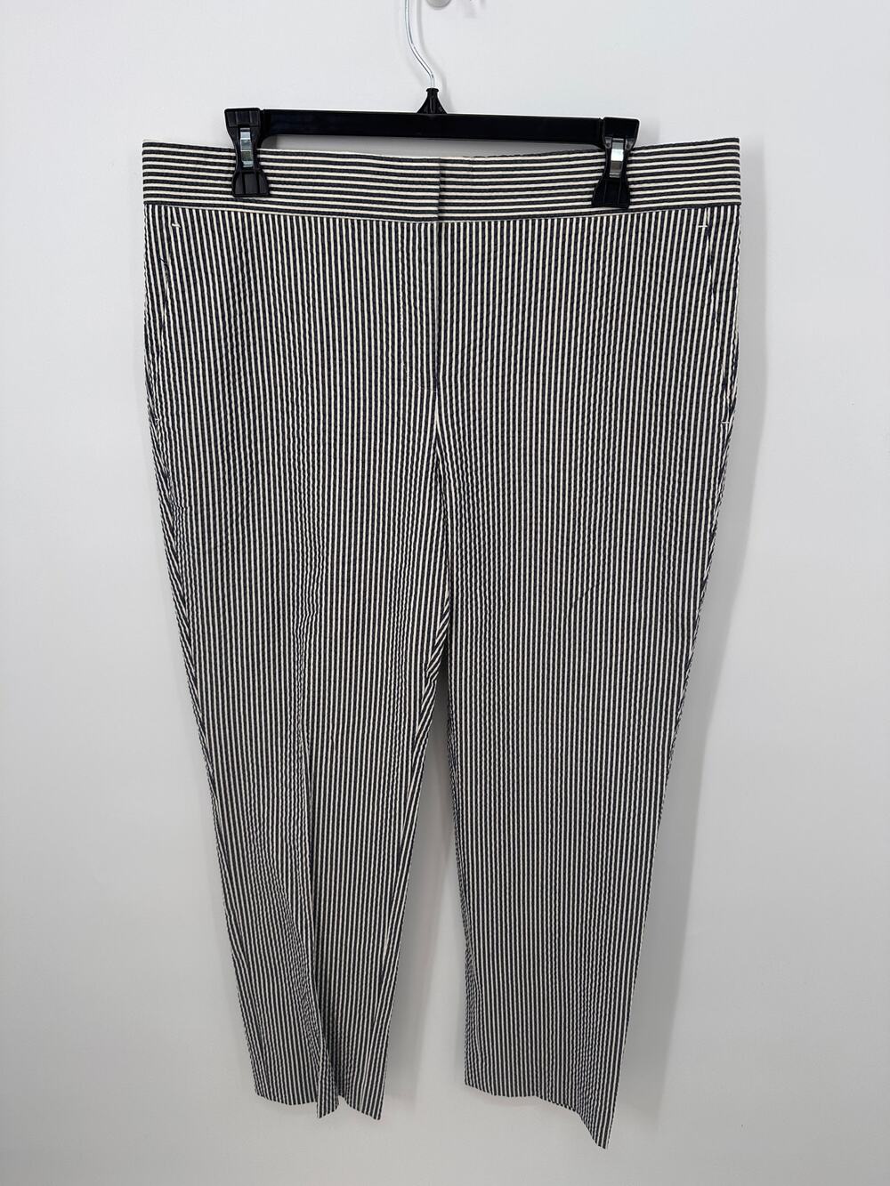 ANN TAYLOR NWT Devin Fit Blue White Seersucker Striped Pants // 8